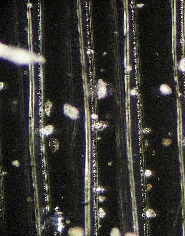 Vinyl Record's Grooves at 1,000x, Using an Electron Microscope DAK
