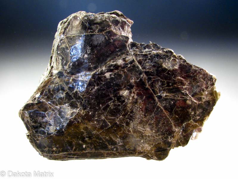 Phlogopite Mineral Specimen For Sale