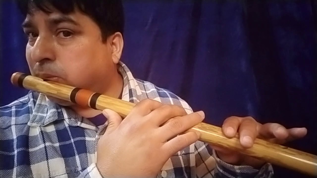 Hindi song on flute tutorial no 1 ( A flute ) Dalima Music