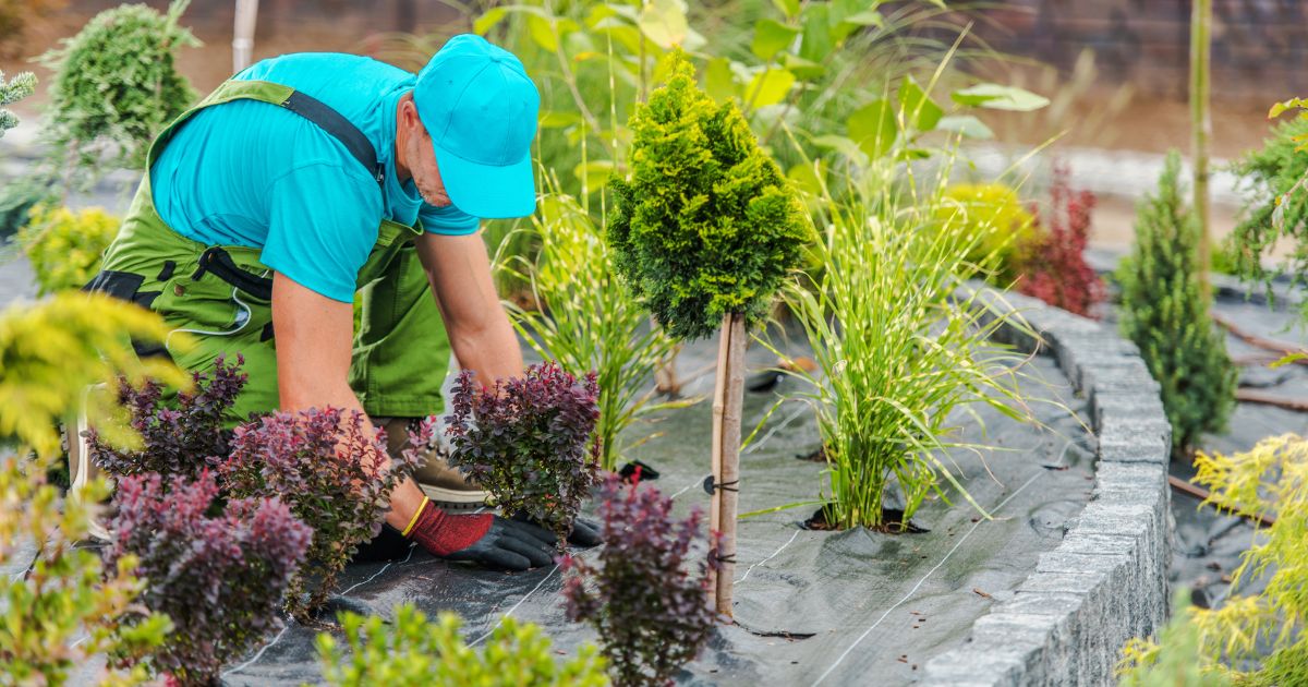 How Much Does a Landscaper Make?