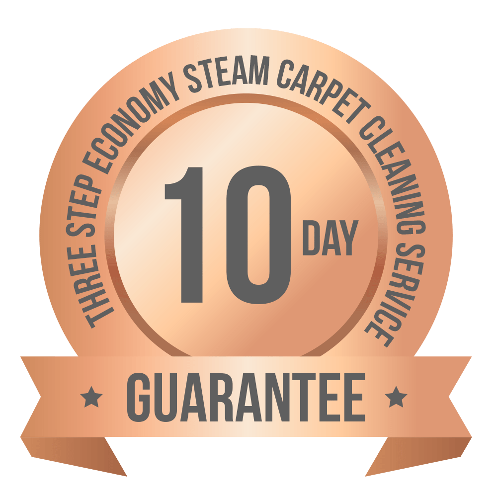 Professional Carpet Cleaning Process by Dalworth