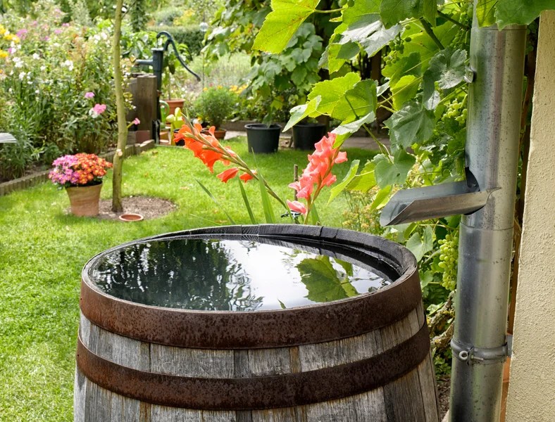 Gutter Water Catchers Guide to Save & Store Usable Rainwater