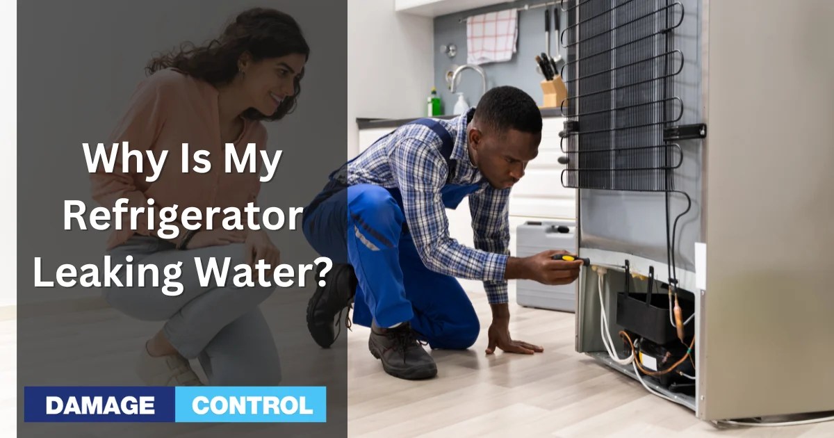 Why Is My Refrigerator Leaking Water?