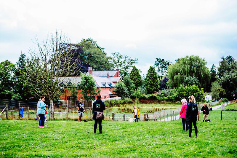 Dog Training Cheshire and Manchester Dog Behaviourist Damian Riley