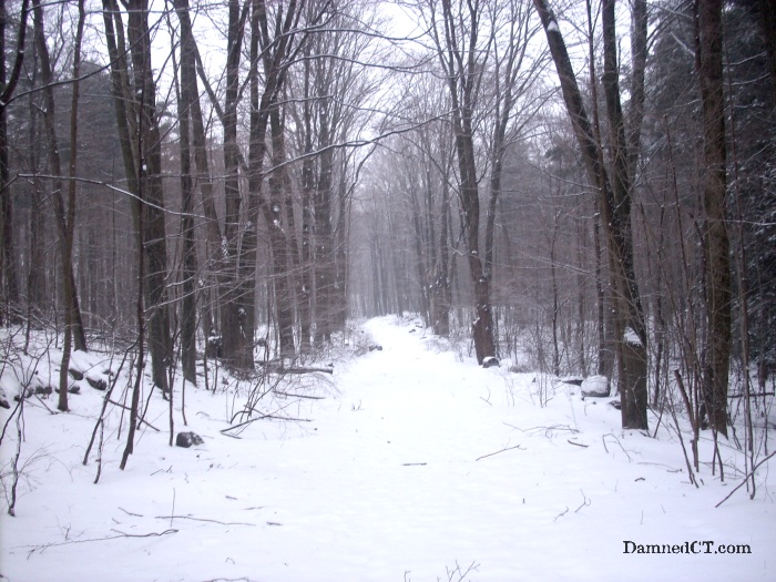 Downs Road, Hamden Damned Connecticut