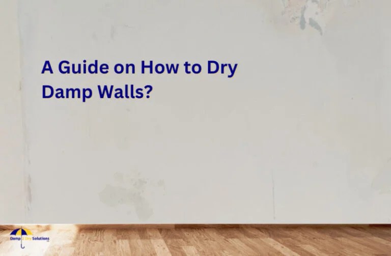 A Guide on How to Dry Damp Walls? Damp2Dry Solutions