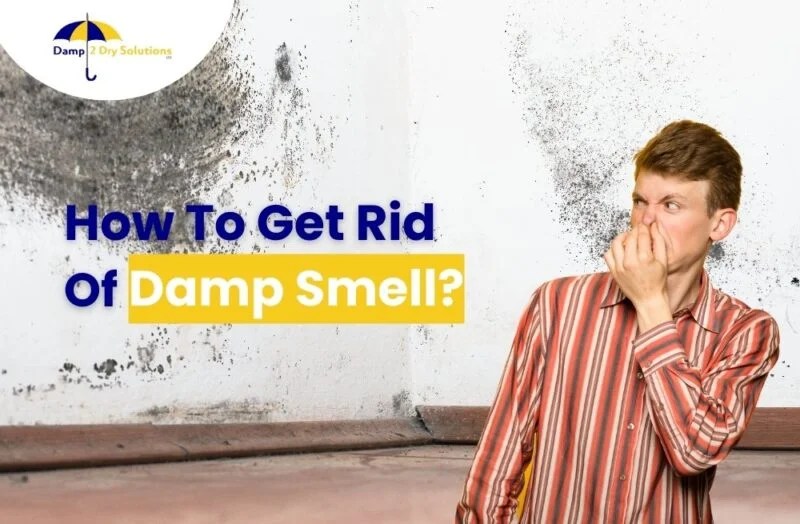 How To Get Rid Of Damp Smell? Damp 2 Dry Solutions