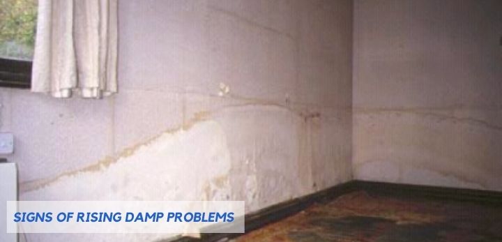 Rising Damp Problem and Its Solution Damp2DrySolutions