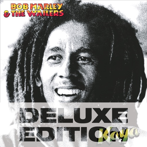 Music Lyrics She's Gone by Bob Marley » DaMusicHits