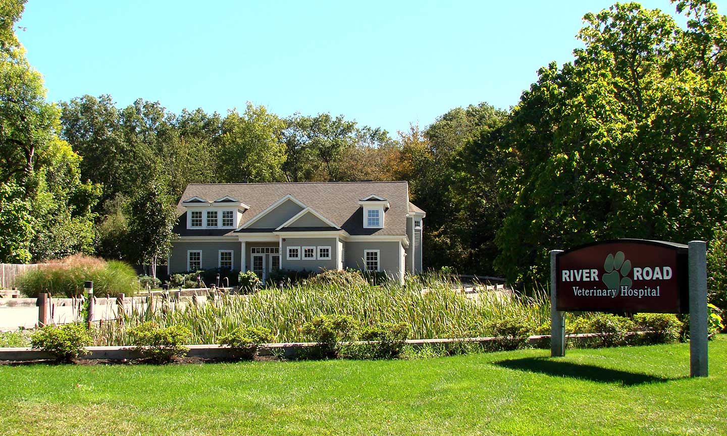 Dana F. Perkins, Inc.