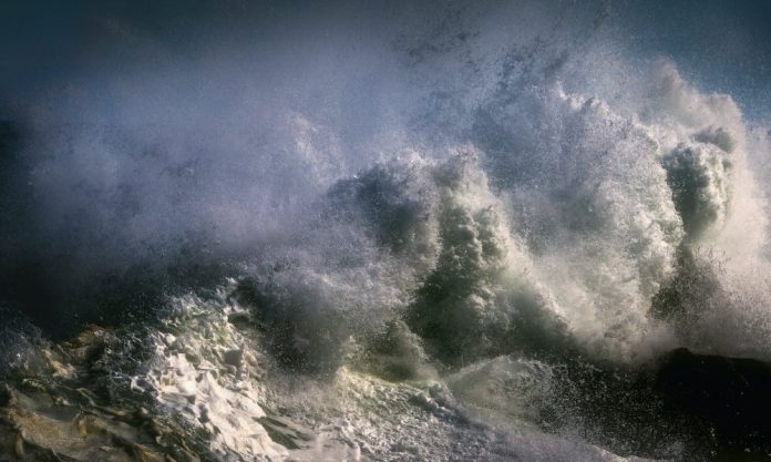 Stagestep gives hurricane aid – Dance Informa Magazine