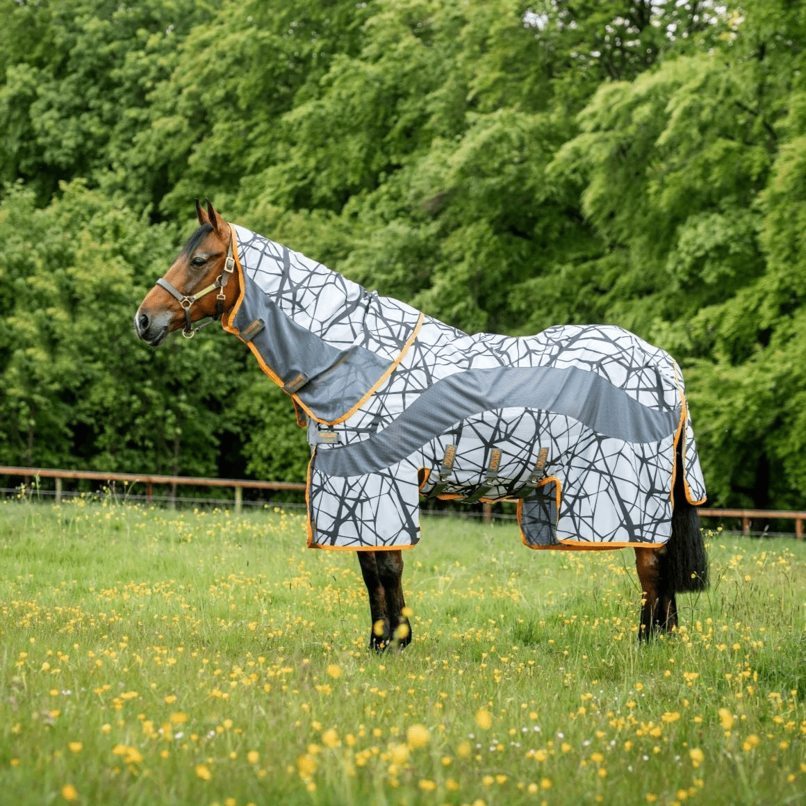 Amigo 3in1 CamoFly Rug The Dancing Horse