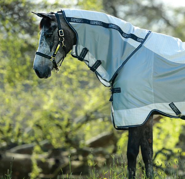 Rambo Airflow Rug The Dancing Horse