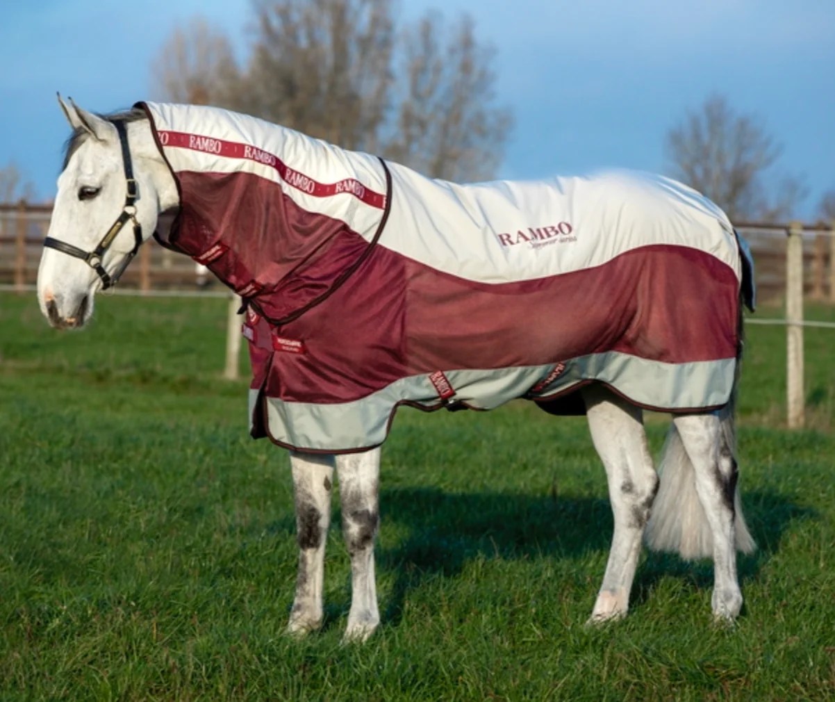 Rambo Summer Series Rug The Dancing Horse