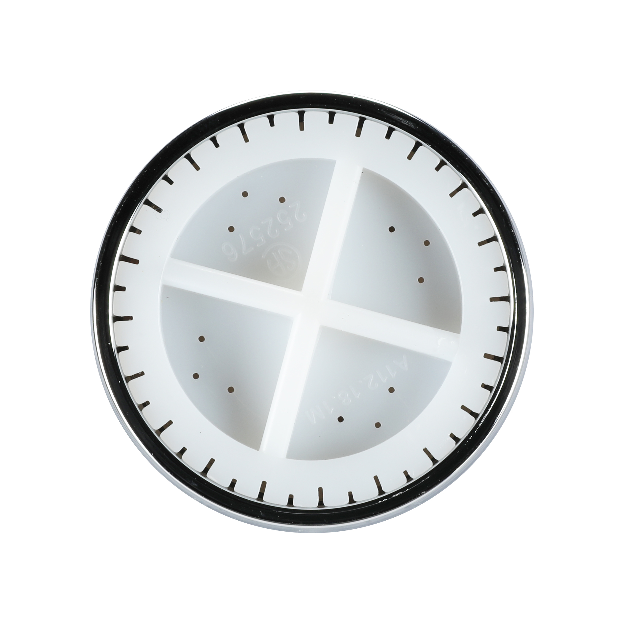 Mobile Home/RV Showerhead in Chrome Danco