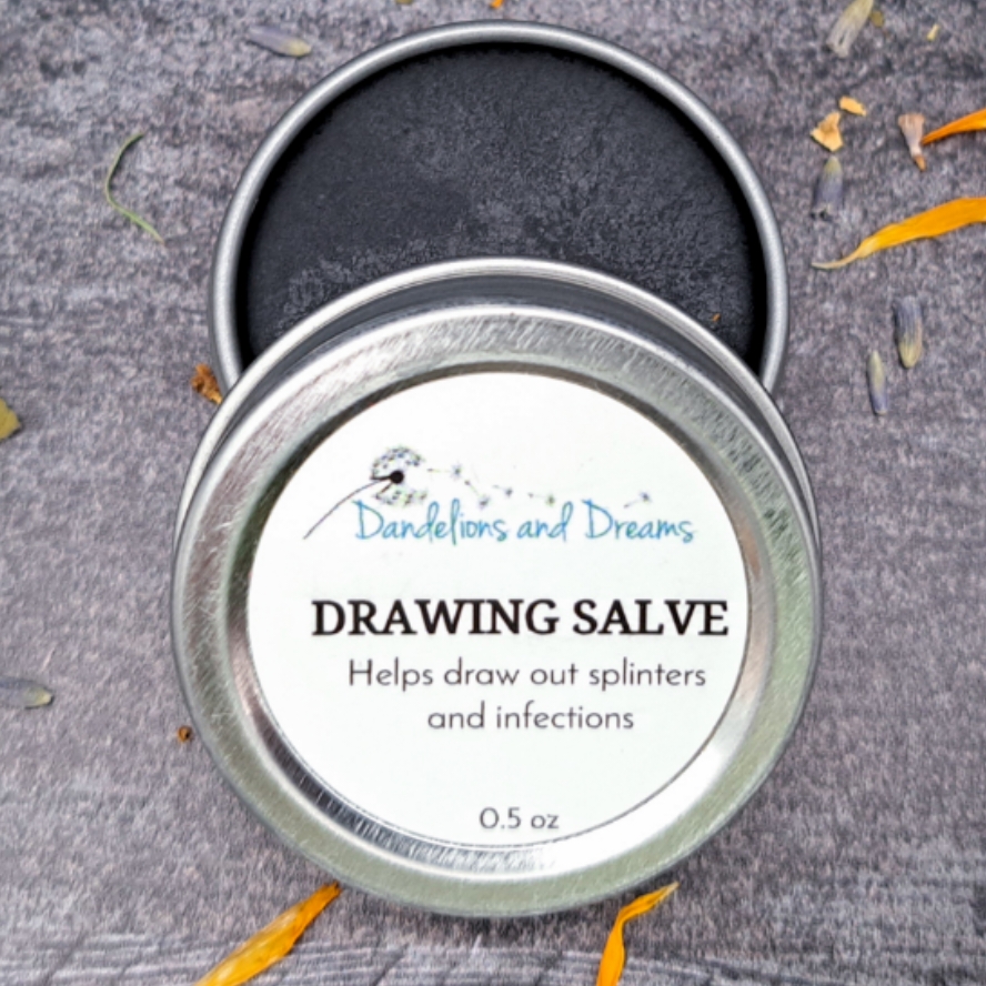 Drawing Salve Dandelions & Dreams