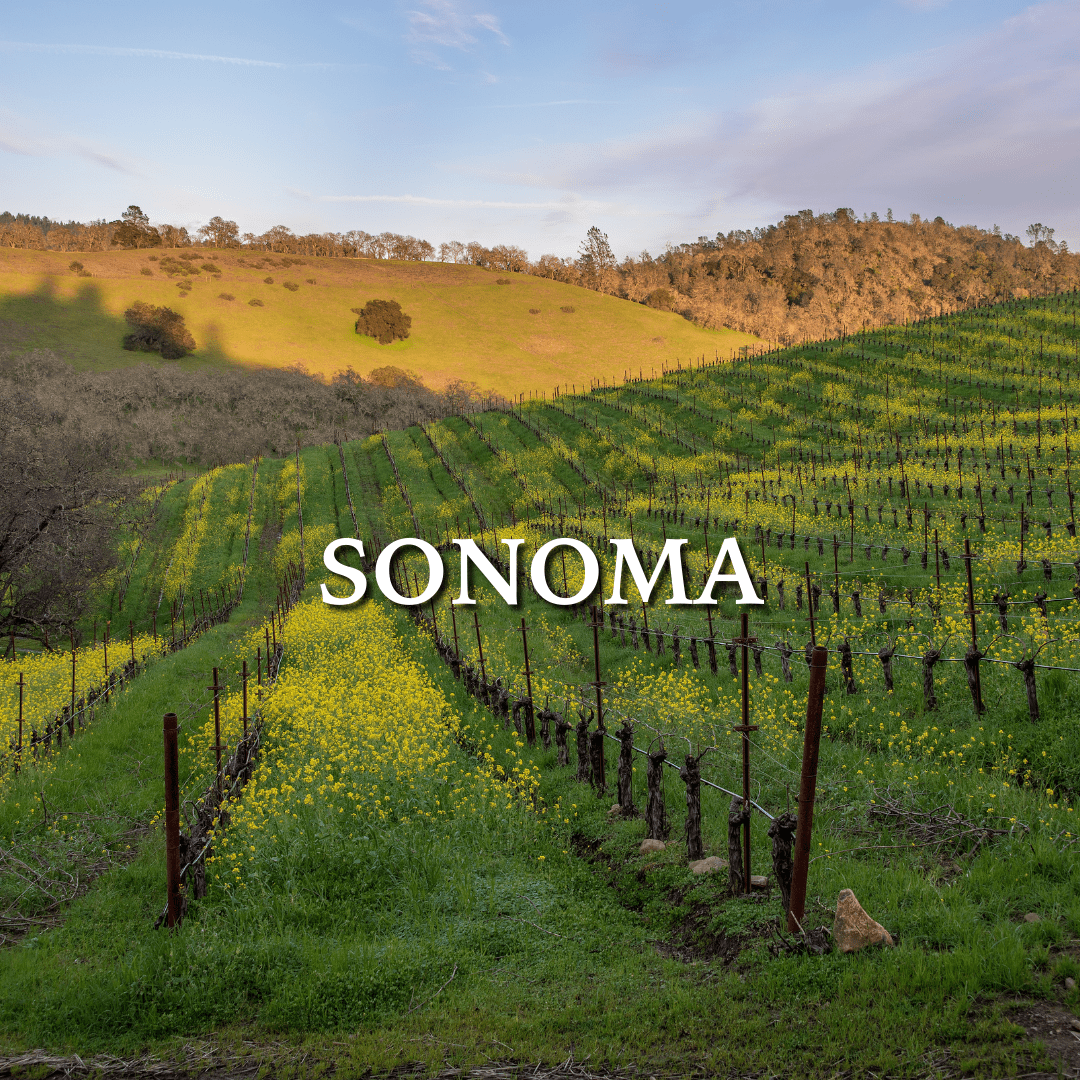 Real Estate Services in Guerneville Serving Sonoma County D & G