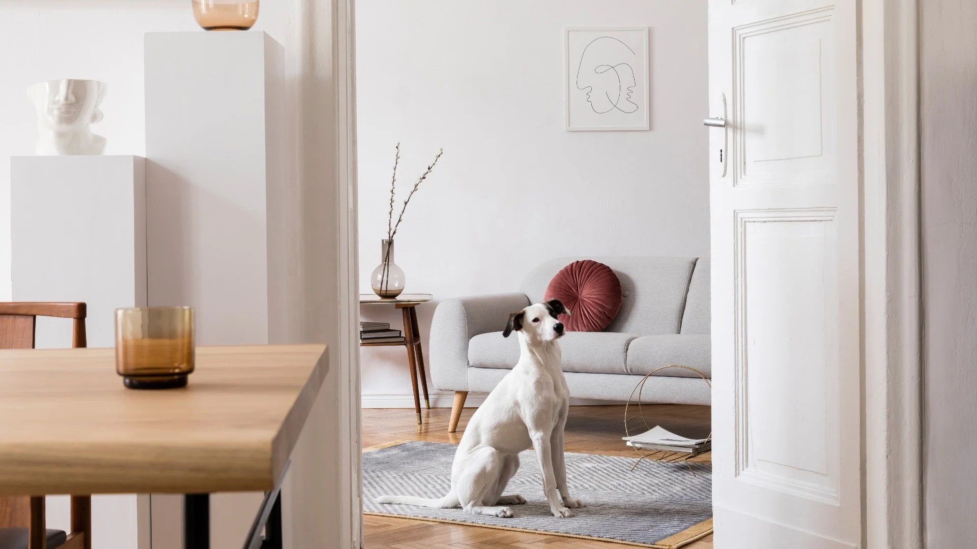 Dane Park Grapevine 1 Luxury PetFriendly Apartment Complex