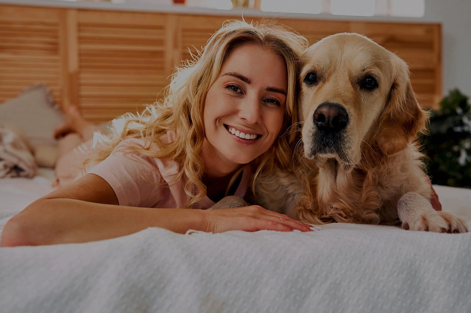 1 Dog/Pet Friend Apartments in Grapevine/Dallas FortWorth