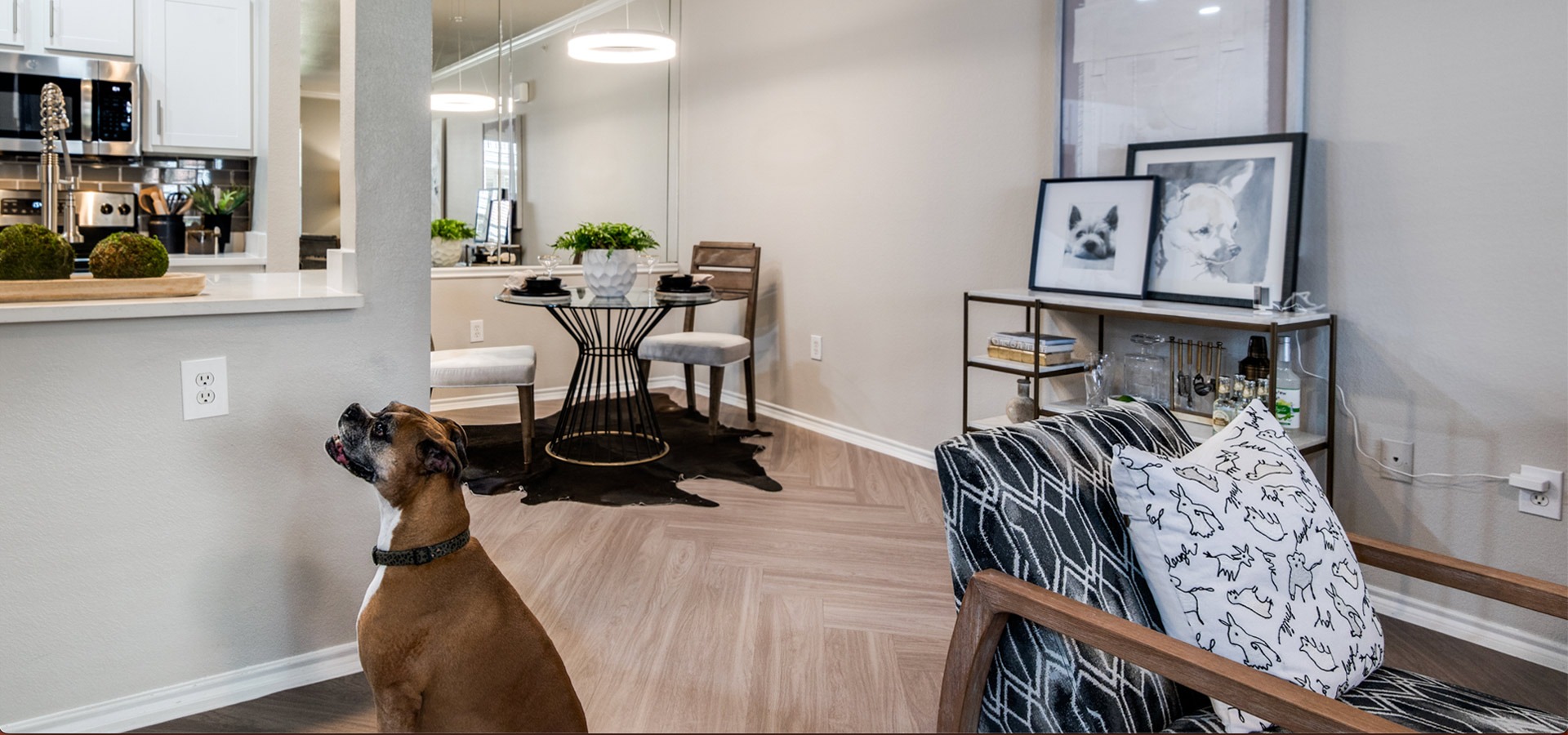 Apartments & Residence Features Dane Park Grapevine