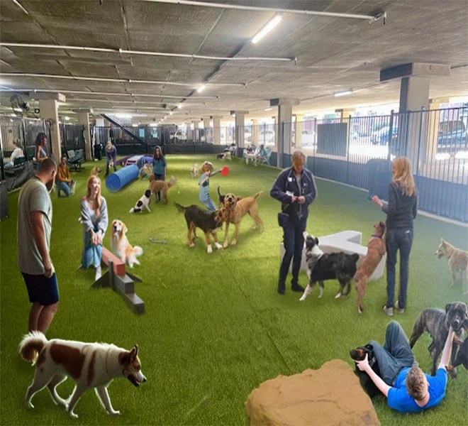 Apartments in Grapevine, TX with Covered Indoor Dog Park