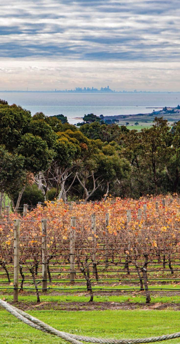 Bellarine Peninsula Wineries, Craft Beer and Taste Trail