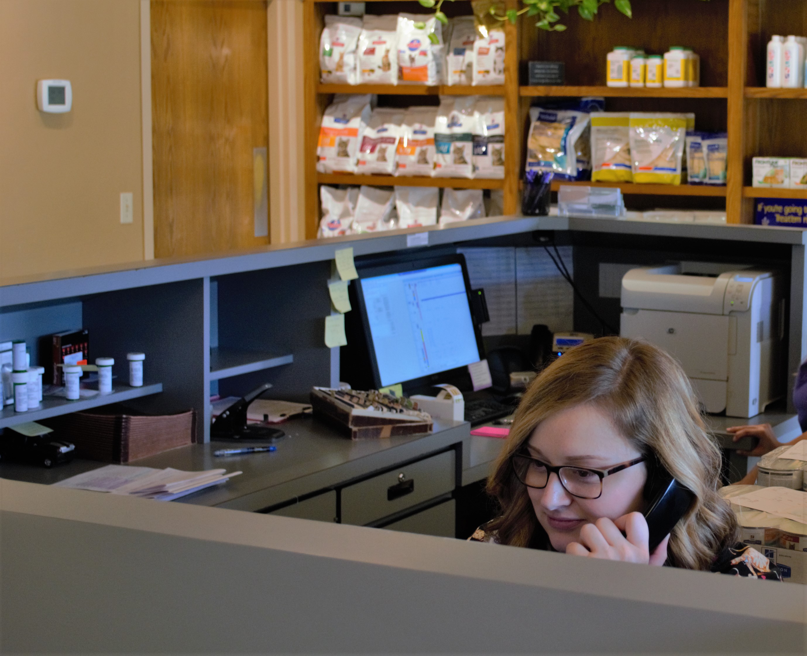 What to Expect Veterinarian in Edmond, OK Danforth Animal Hospital