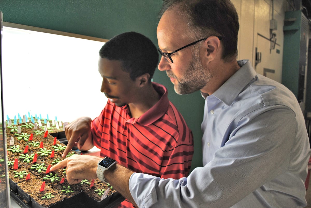 (St. Louis Business Journal) Cultivating a Fair Ecosystem Danforth