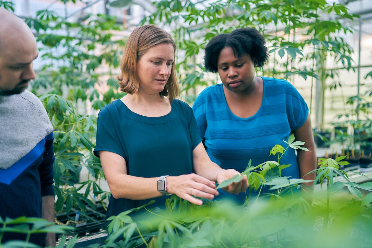 (St Louis Business Journal) Growing a talent pipeline to accelerate