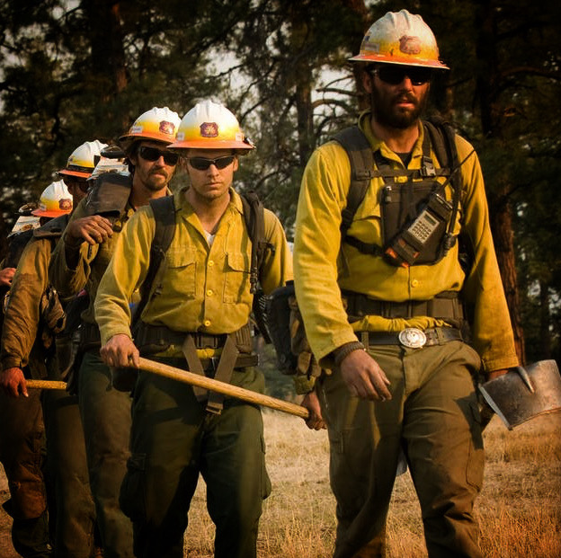 The Anatomy of a Wildfire Danger Ranger Bear