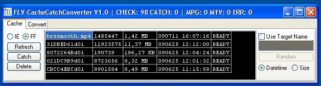 www.danielschwamm.de DelphiTutorials FLVCacheCatchConverter