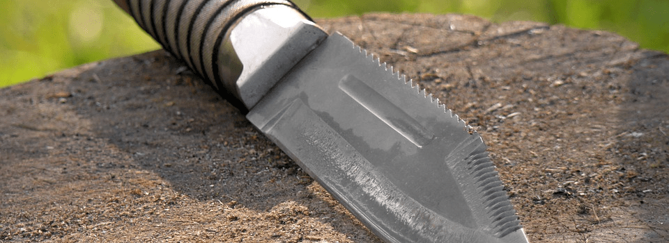 Januar 2016 Daniel Schwerd