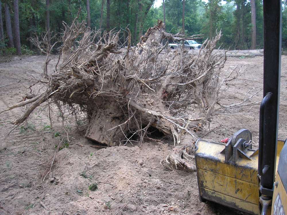 Land Clearing Daniel Dean Land Clearing & Dirt Work