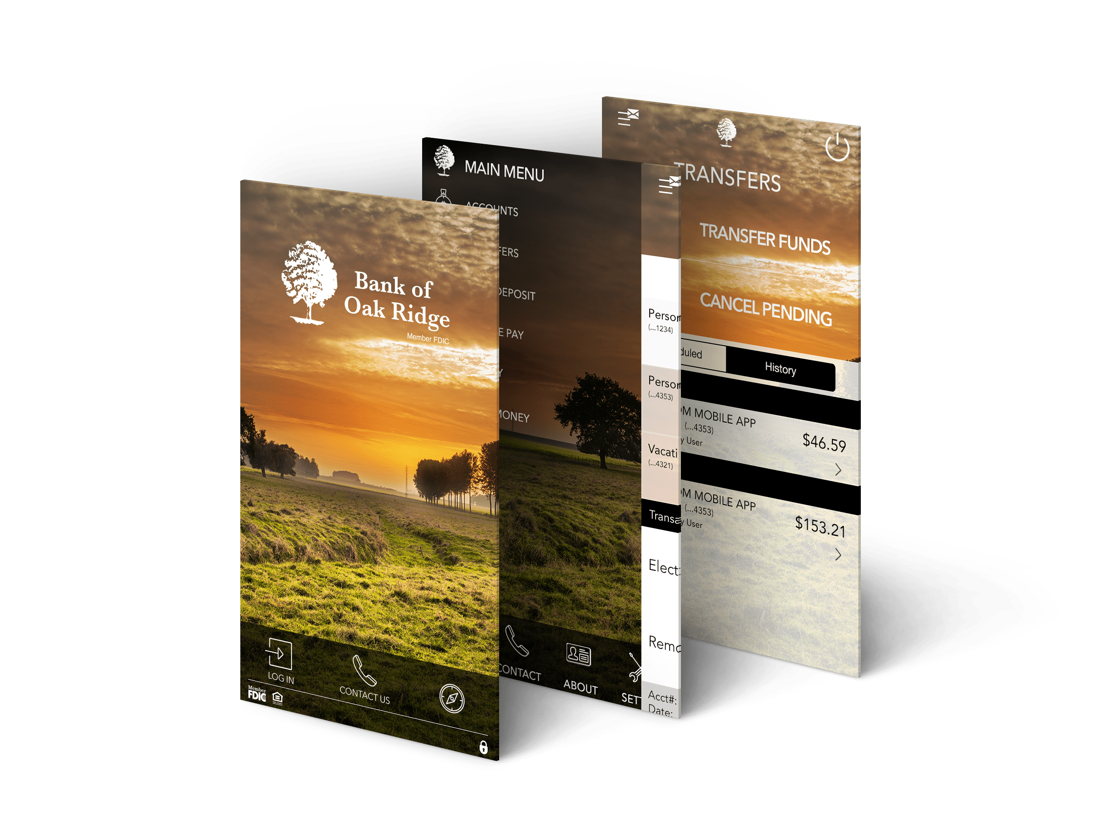 Bank of Oak Ridge Daniel Falquez