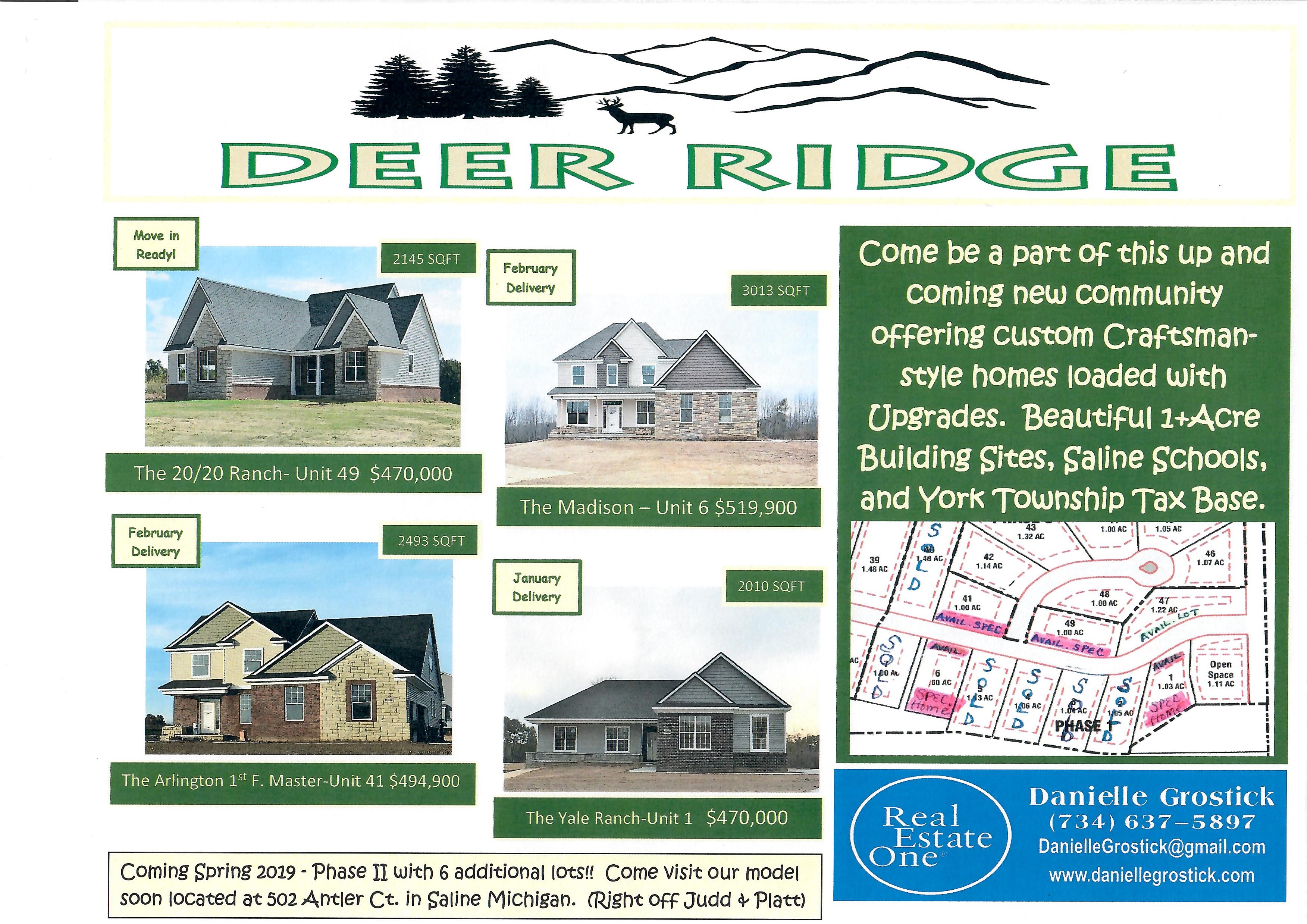 Deer Ridge Subdivision Saline, Michigan