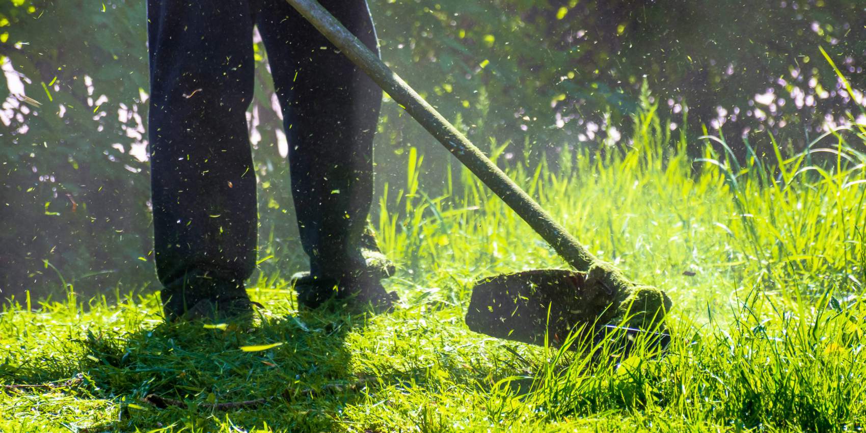 Lawn Care Services Denver, CO Mowing, Trimming, Aeration & More