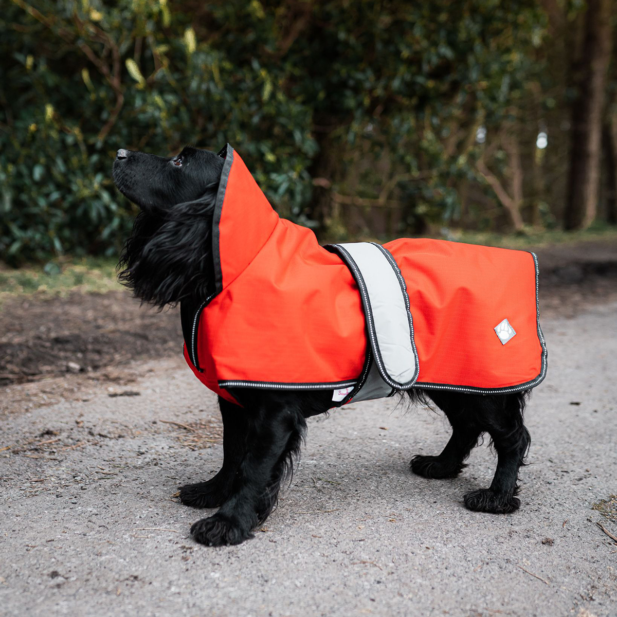2 in 1 Ultimate Dog Coat Orange Danish Design