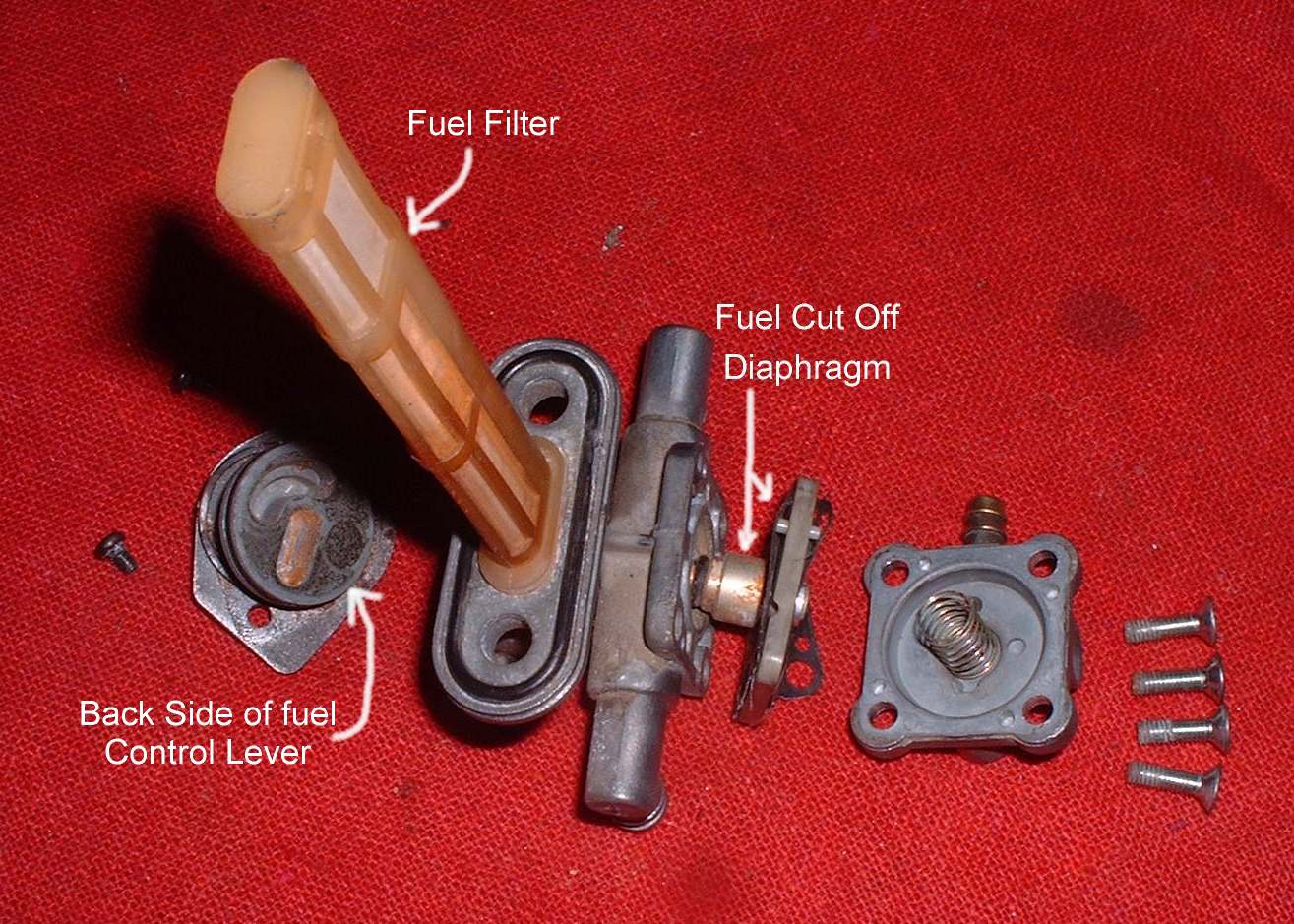 Dan's Motorcycle "Gas Tanks"