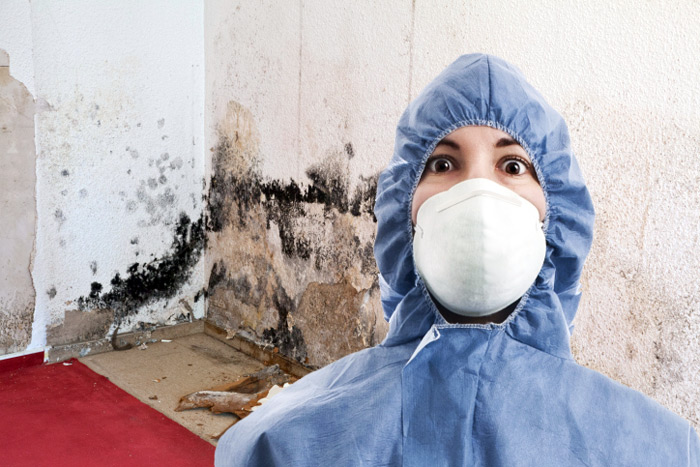 How to Remove Musty Odor from Paper ThriftyFun