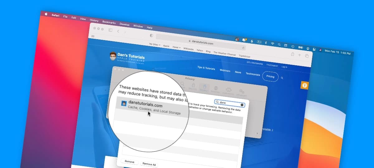 Delete Cookies and Cache in Safari Dans Tutorials