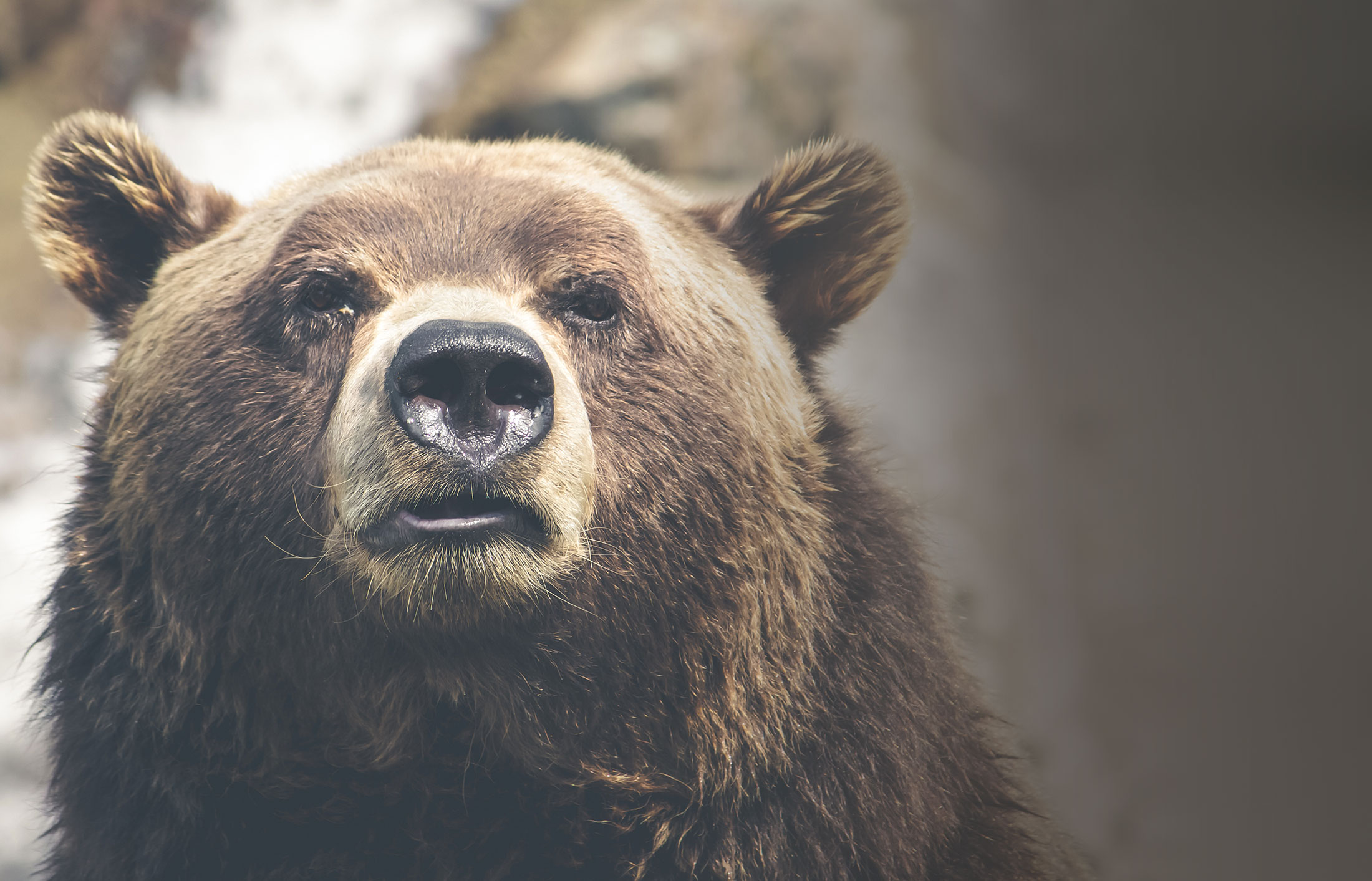 Another Image Post Dapper House Barber Royal Oak