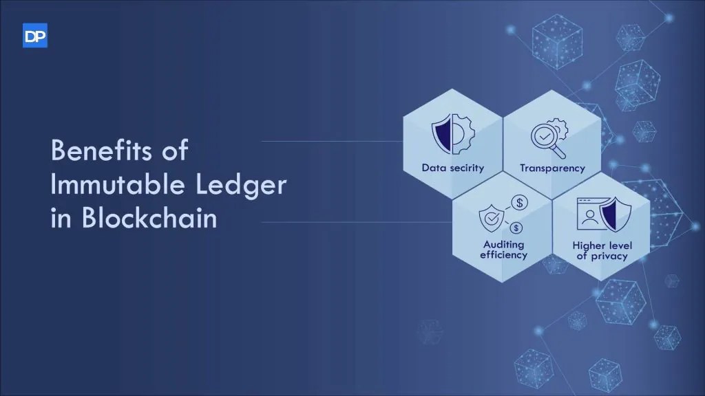 What is the Immutable Ledger feature Of Blockchain networks?