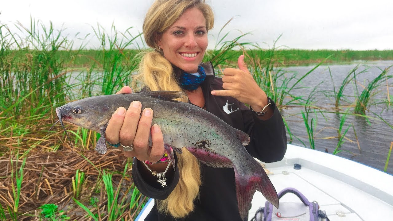 Catch and Cook CATFISH First Time Eating This Fish! Darcizzle Offshore