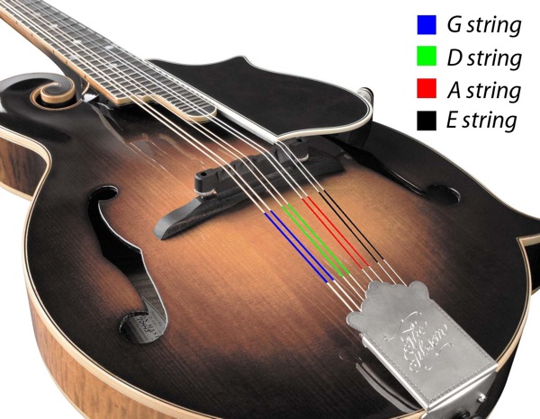 Mandolin Dario Cortese