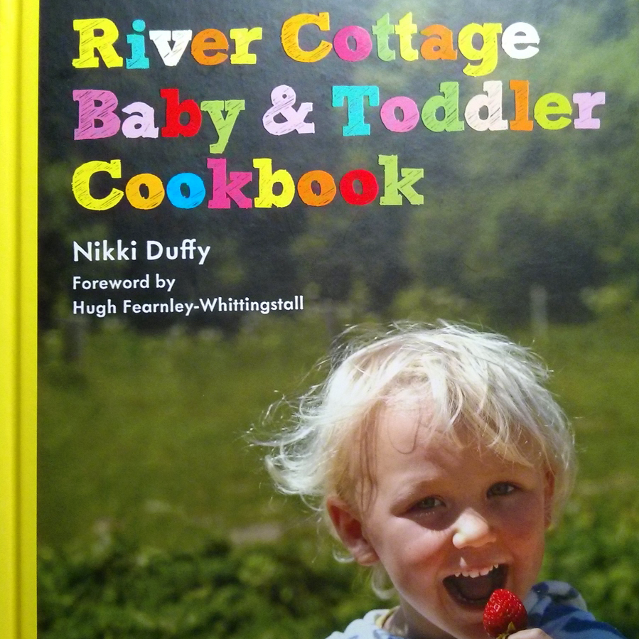 Not a review of the River Cottage Baby & Toddler Cookbook