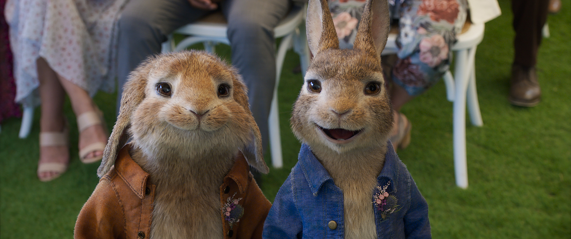 Peter Rabbit 2 Un birbante in fuga, la recensione