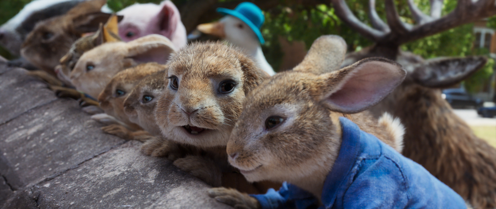 Peter Rabbit 2 Un birbante in fuga, la recensione