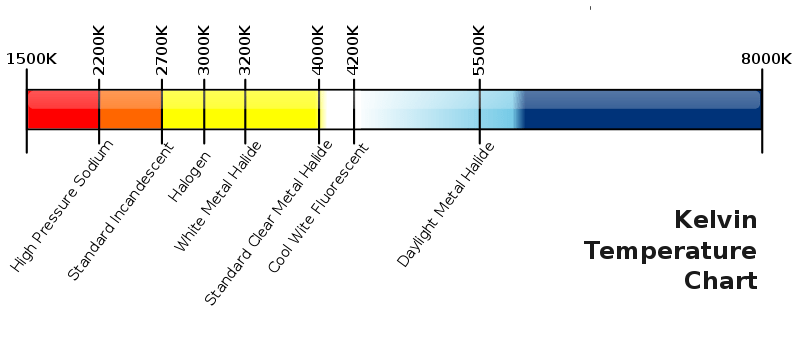 Human Health International DarkSky Association