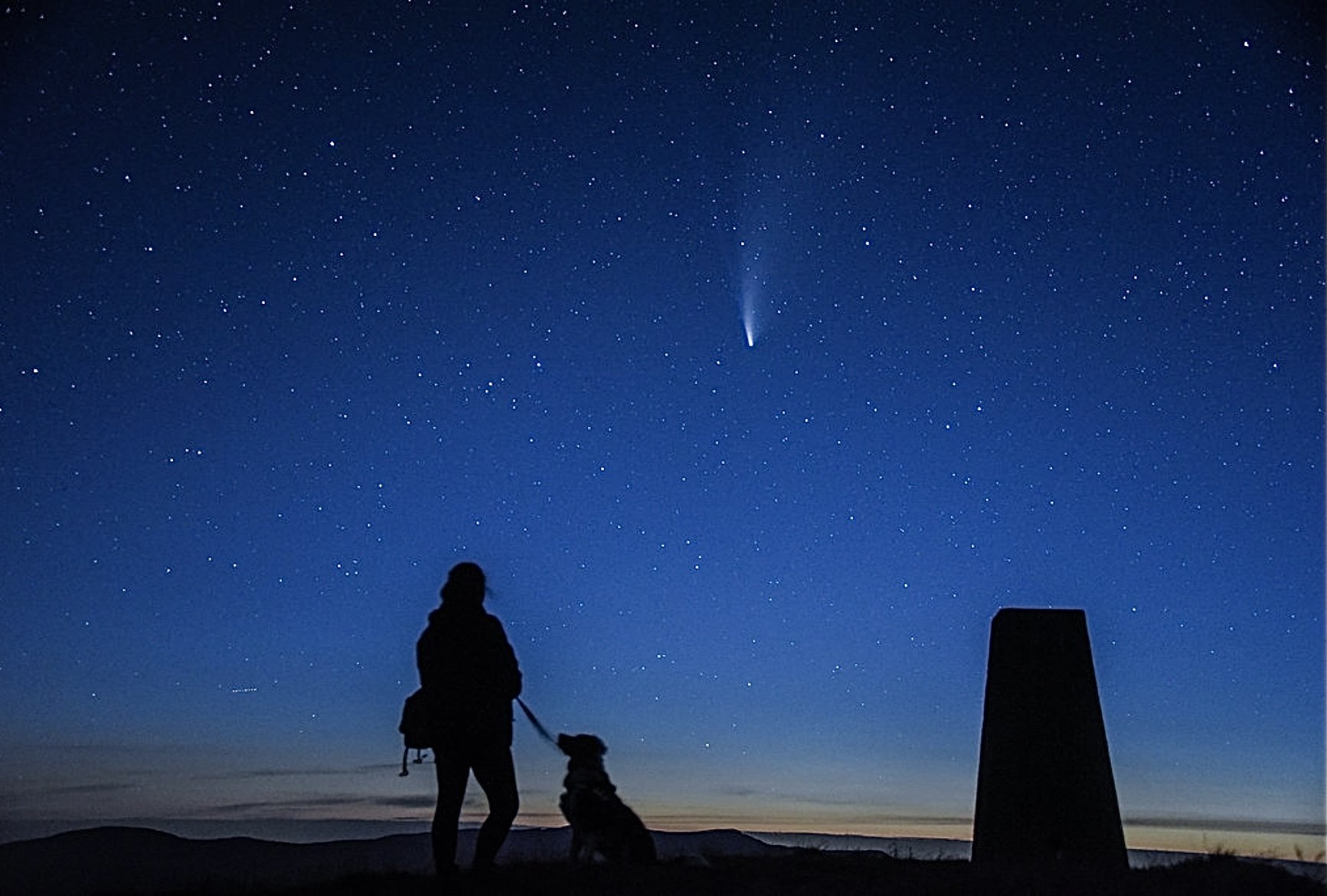 10 Stellar Photos of Dogs and the Night Sky DarkSky International