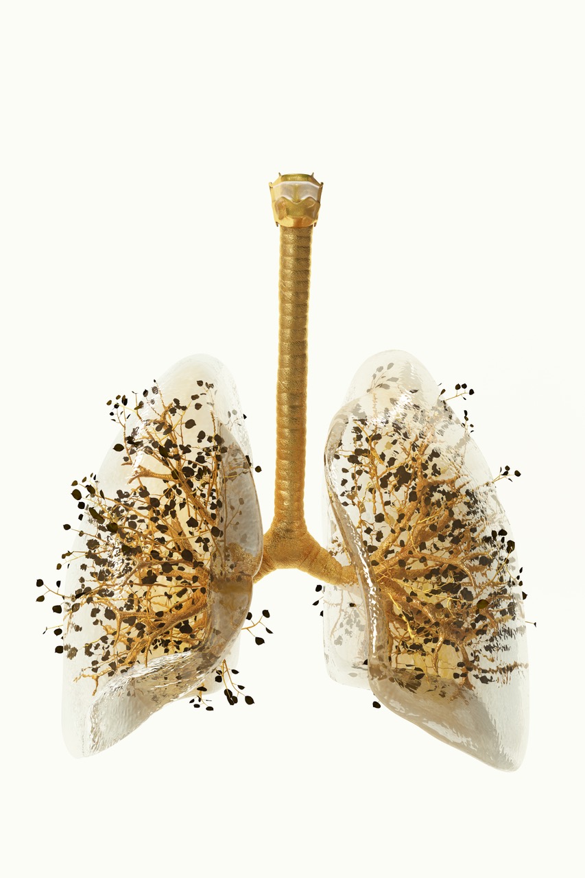 dArt International Magazine Spring 2023 edition of the making of art, its exhibition, and what